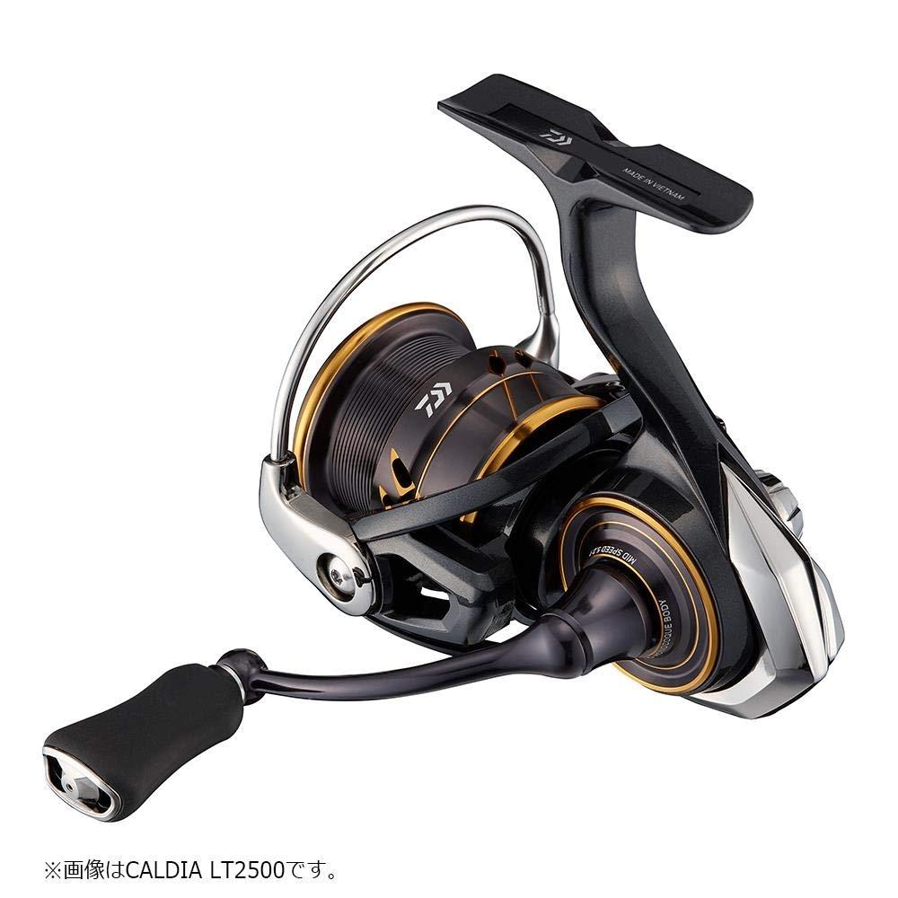 DAIWA Спиннинг 21 Caldia LT2500S