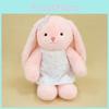 Rabbit Floral Skirt Plush Doll Childrens Animal Toy Pp Cotton Soothing Gift