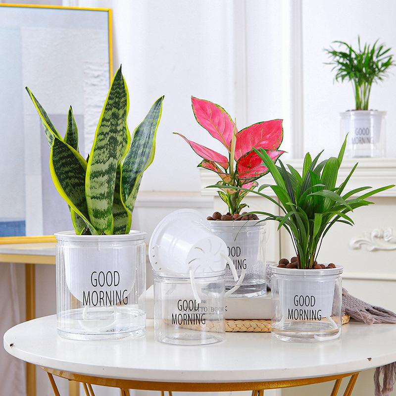 Lazy Hydroponic Flower Pot Automatic Water-Absorbing Flowerpot Transparent Double Layer Plastic Self Watering Planter Office