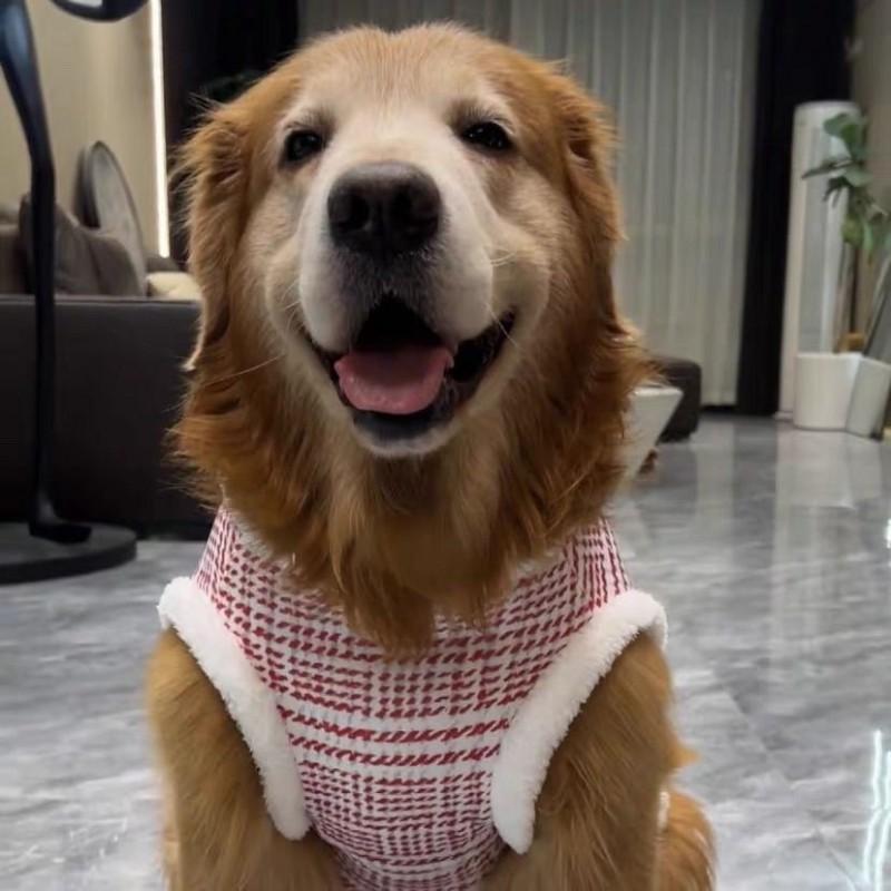 Winter Thick Warm Dog Coat Large Breeds Husky Samoyed Golden Retriever 2-Legged Pet Sweater In Red Blue