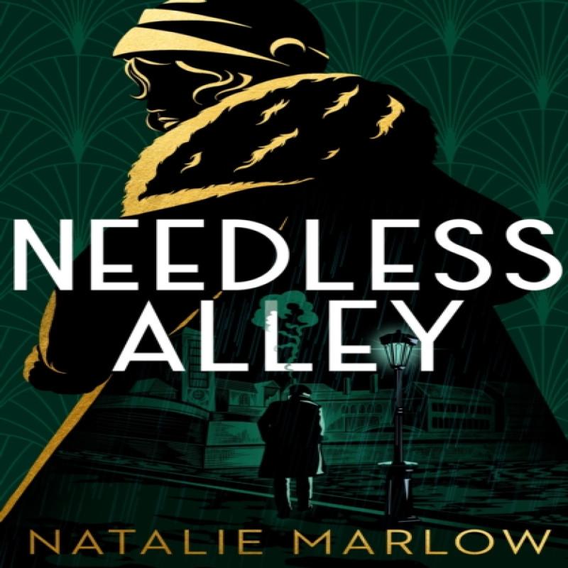 Needless Alley by Natalie Marlow Hardback Book 9781399801799