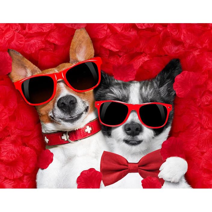 Amajiji Formal Dog Bow Ties for Medium & Large Dogs (D114 100% Polyester) (Dark Red)