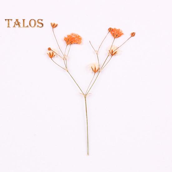 Сушёные цветы для рукоделия 12шт