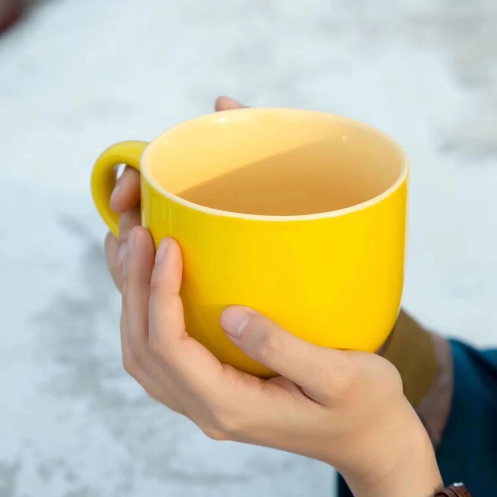 700ml Coffee Mug Large Capacity Ceramic Breakfast Oatmeal Milk Tea Cup Instant Noodles Bowl Novelty Gifts Best for Your Friends