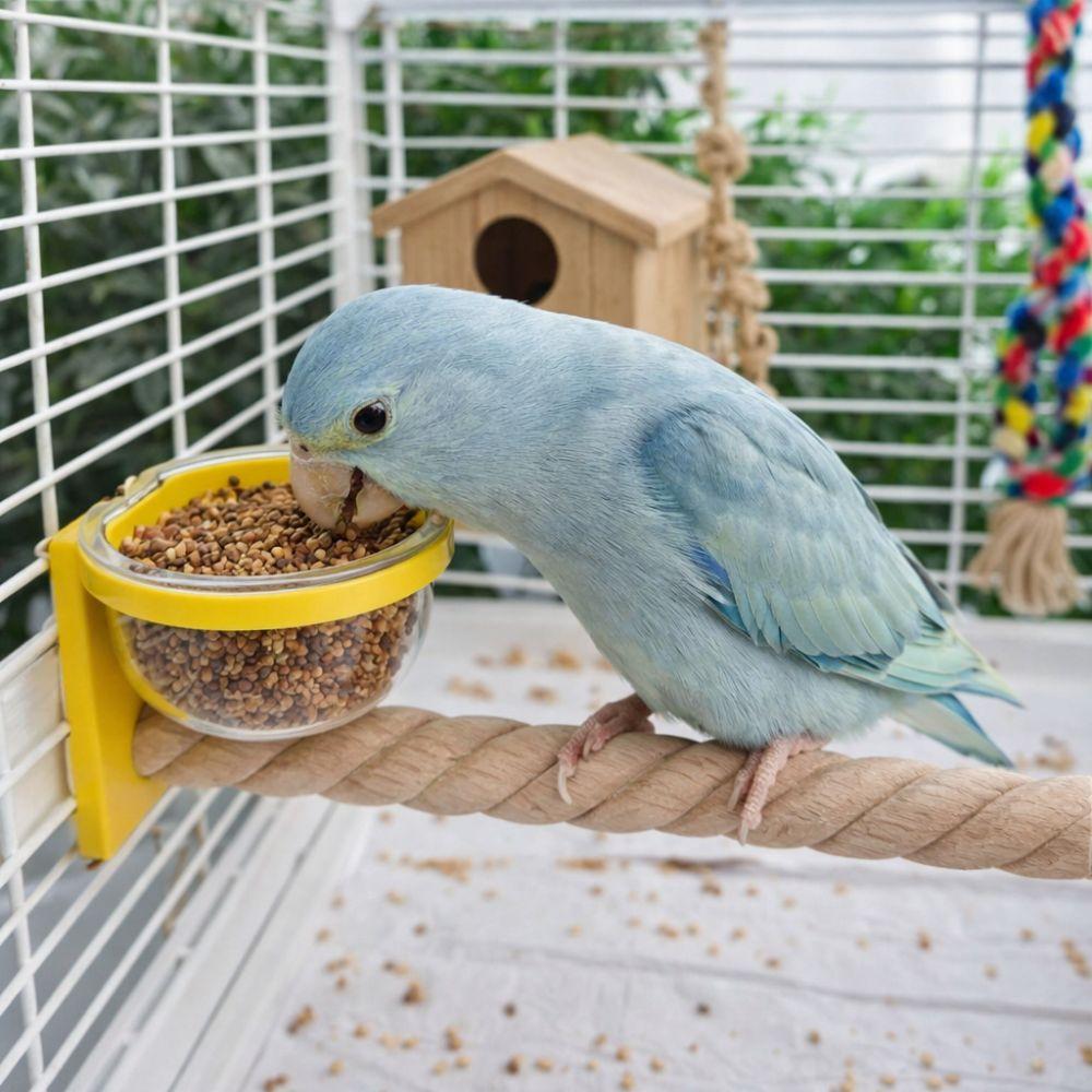 Wear-resistant Bird Cage Feeder Paw Grinding Parrot Wood Perch Bird Feeding Cup  Pet Bird Supplies