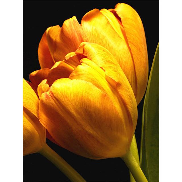 Алмазная картина, цветок, полная квадратная/круглая вышивка, цветочная Алмазная мозаика, вышивка крестиком, картина, стразы, алмазное искусство