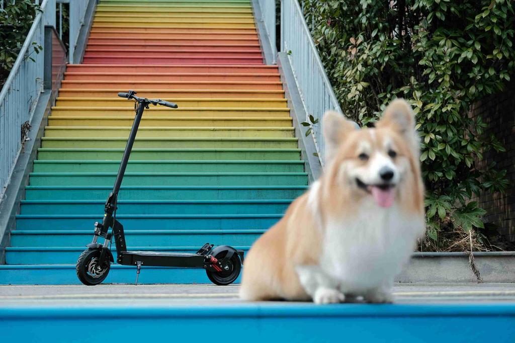 DriveTron DT08 Adult Electric Scooter, 25 mph, 37 Mile Range, 48V 13Ah 500W, Front Disc Brake + EABS, IPX5