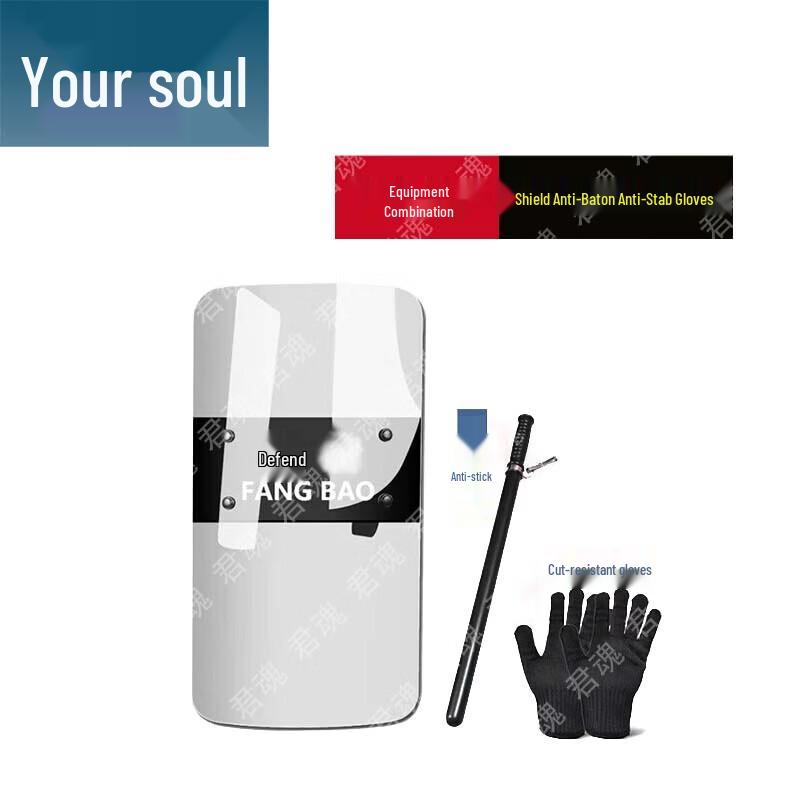 Handheld Riot Shield & Security Kit