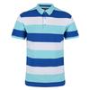 Мужская рубашка-поло в полоску Regatta Maxen