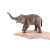 Simulation Forest Animal Model Elephant Tiger Lion Children'S Cognitive Animal Ornament Doll Toy