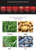 Pigweed & Vegetable Leaf Silage Pulper - Large Size, In Stock