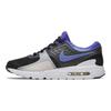 Nike Air Max Zero Персидская фиалка 789695-004