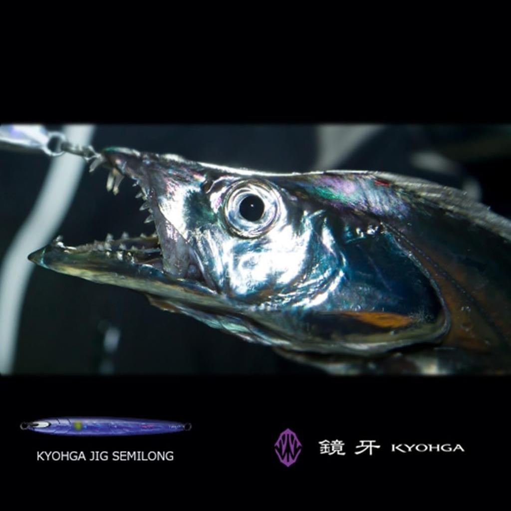 Daiwa Hairtail Kyoga Parallel Holo Silver Jig, Semi-Long, 160g,