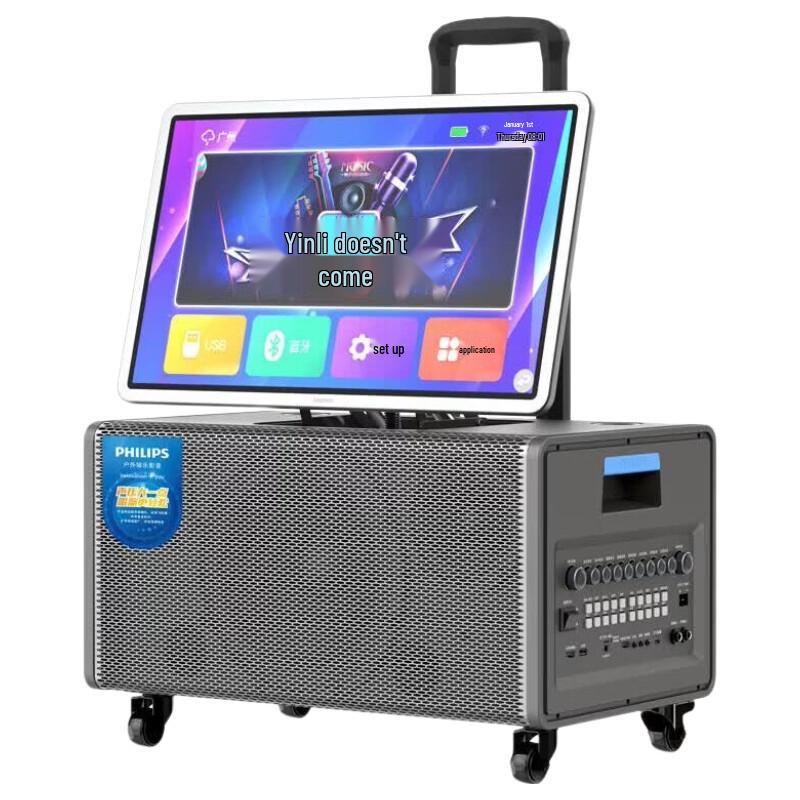 Philips SD290 KTV Home & Outdoor Speaker (CN version)