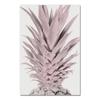 Nordic Pink Pineapple Painting Wall Pictures Home decoration Posters And Prints Cactus Pot Plant Art Canvas Paintings No Frame