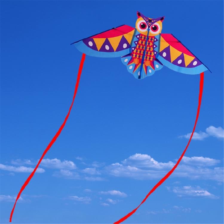 Owl Patterned Kites High Visibility Encourages Motor Skills Development Outdoor Exploration Gift