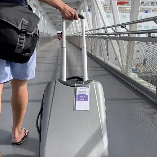 10 шт. круизная багажная бирка с петлей, широкий держатель багажной бирки Cruise Essentials, бирка с уплотнением на молнии, многоразовый водонепроницаемый держатель для круизных документов, карнавал