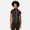 Regatta Womens/Ladies Halton V Softshell Body Warmer