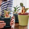 Мини-фея Миниатюрный набор эльфов из смолы Садовый микроландшафт Статуя ангела Декор своими руками