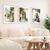 Frameless Bohemian Wall Art Green Bohemian Door Print Mallorcan Poster,Olive Tree Flower and Plant Theme Photography Decoration