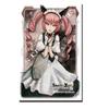 Bushiroad Sleeve Collection HG (High Grade) Vol.147 STEINS;GATE "Fairis Nyannyan"