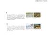 Daiwa Polarized Overglasses TLO 028 TrueView Sports (DAIWA) (TVS)
