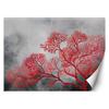 Wallpaper Trees Plants Red