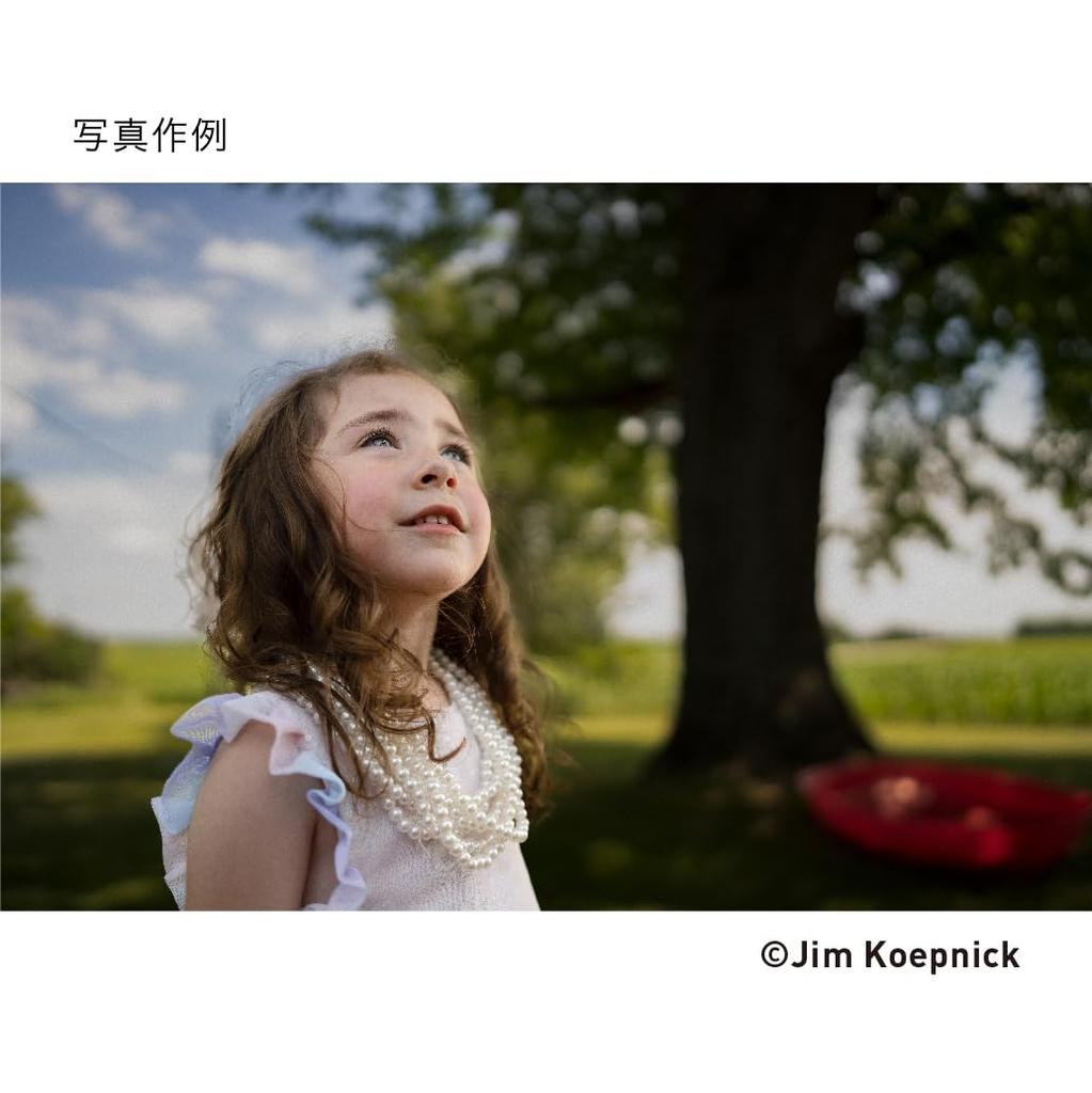 Sigma SIGMA Sigma Sony Lens 24mm DG DN Single Focus Wide Angle Full Size Art Mirrorless Dedicated E-Mount F1.4