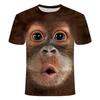 Animal Digital Print Men'S Short Sleeve, Funny Gorilla 3D Short Sleeve Summer T-Shirt Loose Tume