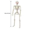 Movable Joints Halloween Skeleton Scary Sound Posable Skeleton  Atmosphere Decoration