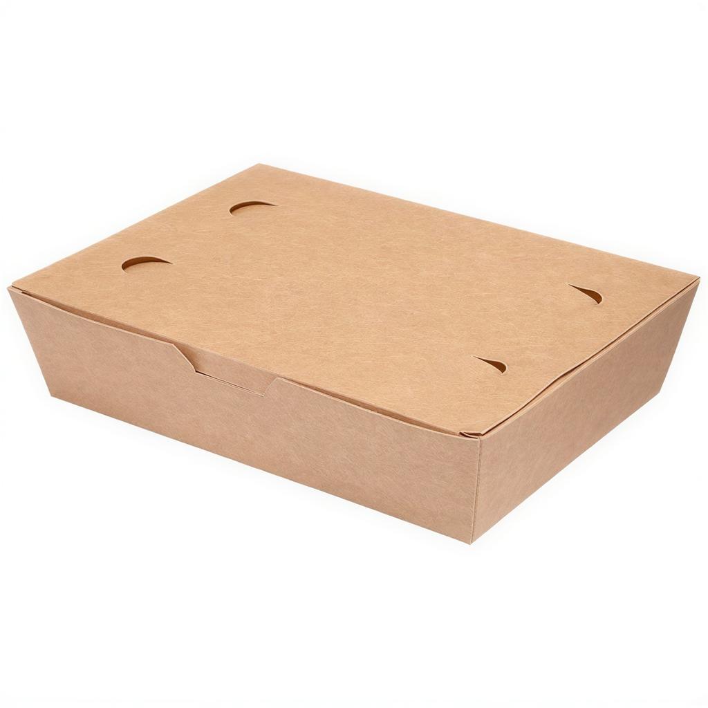 Food Box Duży 20 X 14 X 5 Cm 100 Szt.