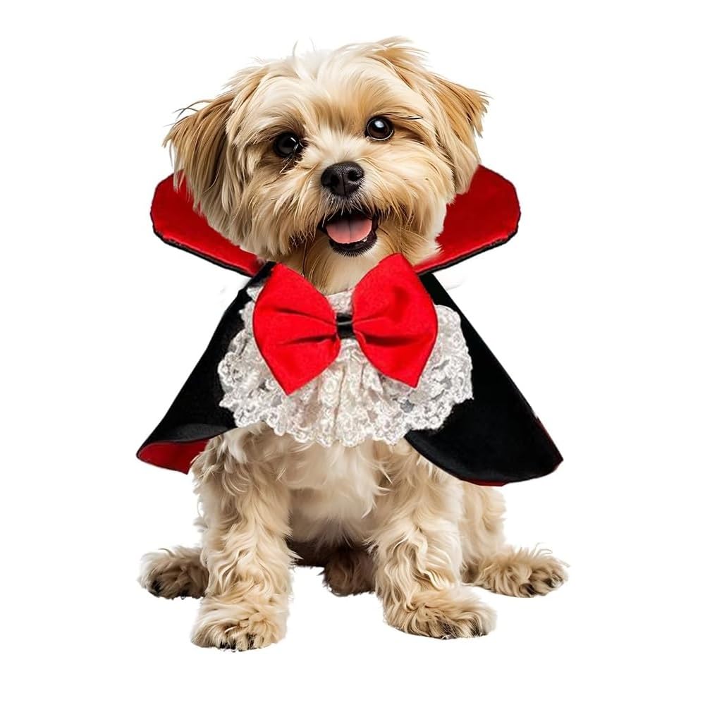 Pet Halloween costume vampire cape dog cat funny wear easy put on take off disguise party Christmas photo commemorative shooting