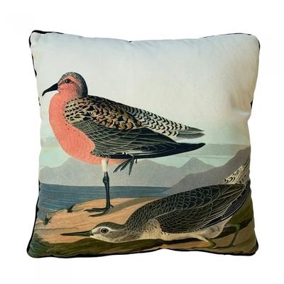 John James Audubon Подушка с красногрудым куликом, наполненная куликом