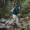 Naturehike Aluminum Alloy Trekking Pole