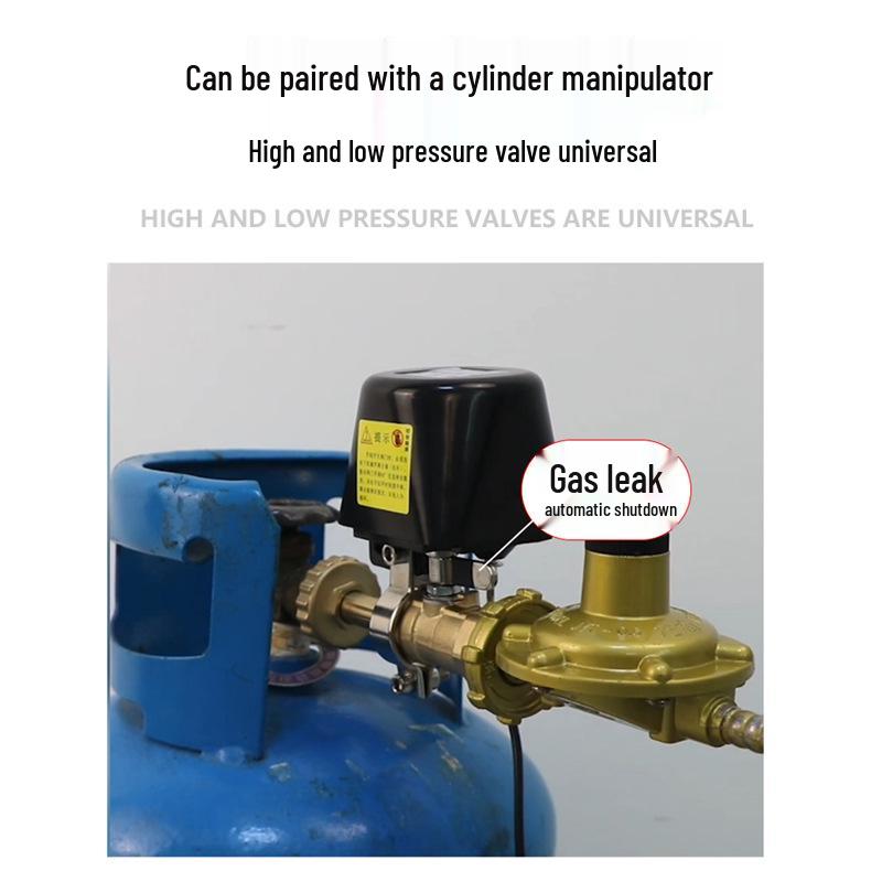 Commercial LPG Leak Detector with Automatic Shut-off Valve for Restaurants