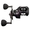 Daiwa 24 Kouga IC 200P Counter Baitcasting Reel