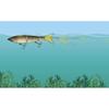 Deps New Highsider 220 07 Matte Chartreuse 220mm