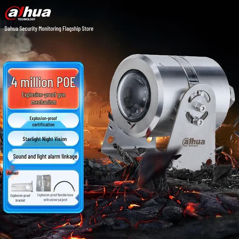 Dahua Industrial Explosion-Proof Network Surveillance Camera CN plug (adapter included)