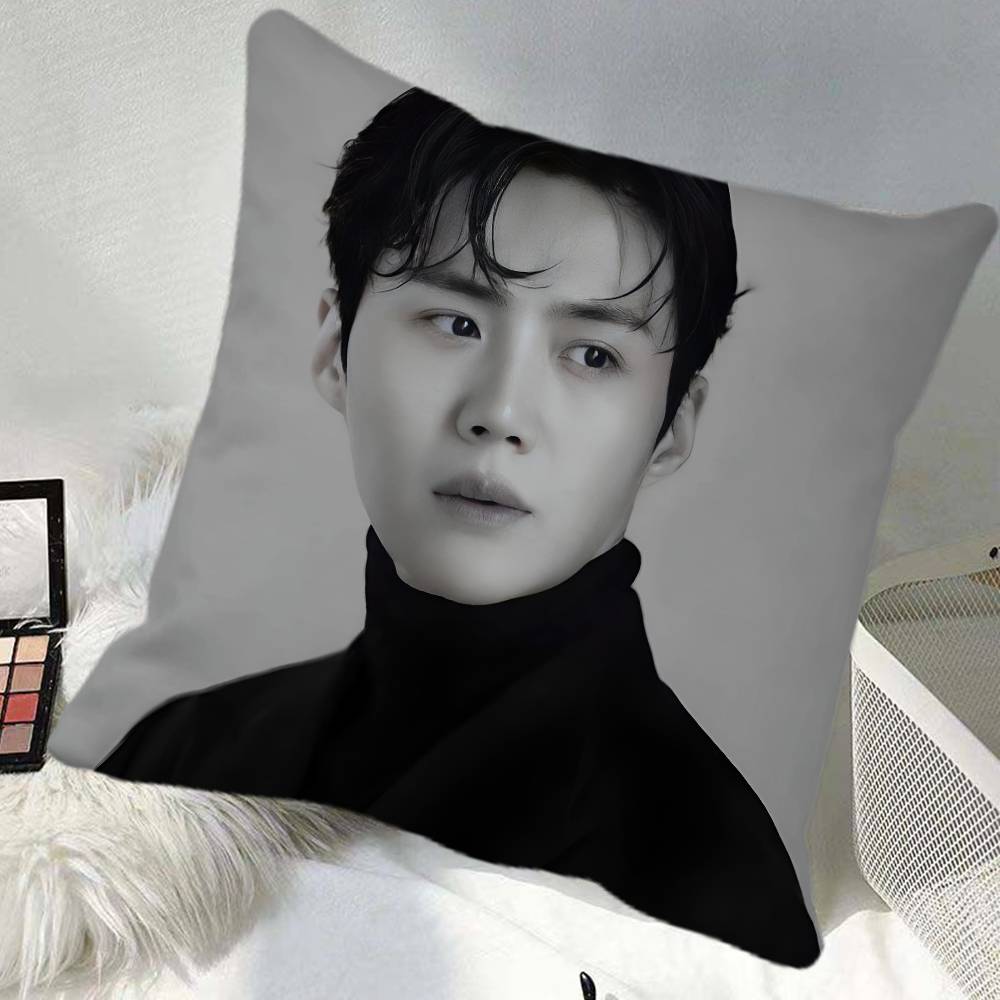 Kim Seonho Pillow Case Square Pillow Bedroom Sofa Leisure Comfort Cushion Car Home Decoration