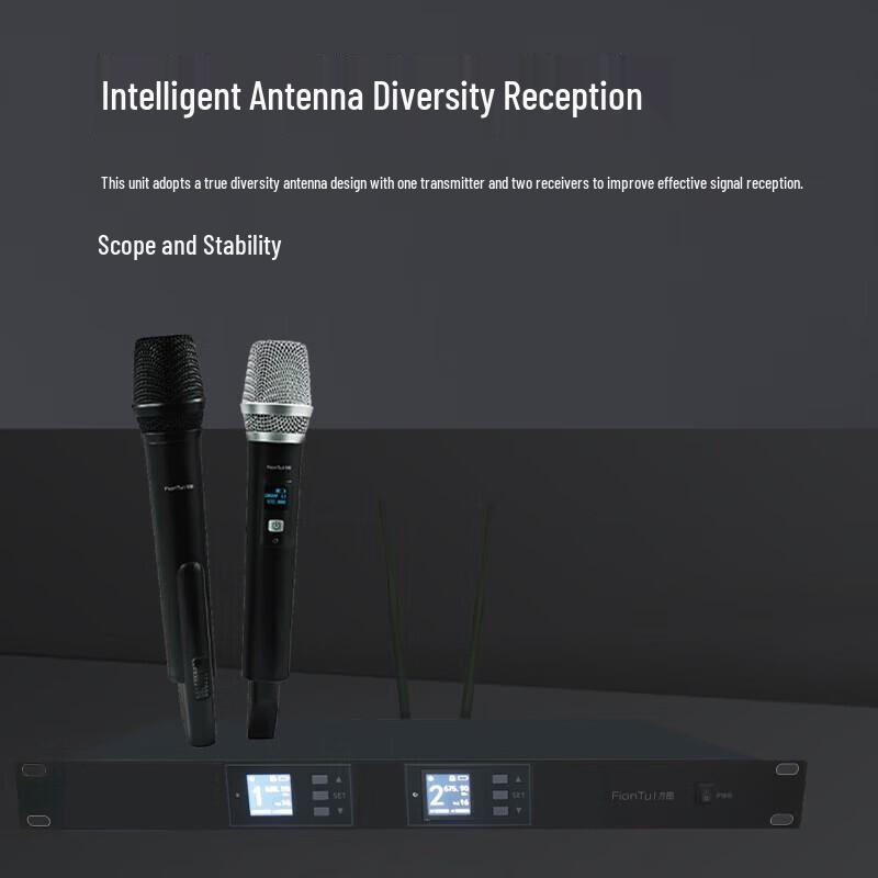 FionTu Professional Wireless Dual Handheld Microphone System (CN version)