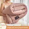 Milk Velvet Warm Autumn Winter Blanket Solid Color Soft Plush Throw Blanket for Sofa Nap Skin Friendly Single Double Bed Blanket