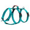 Dog Harness Anti Escape Vest Adjustable Training Vest Pet Strong Training Walking Swimming Hiking Anti Escape Belt Blue