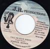 7inch Record SPANNER BANNER - Fall On Your Knees NONE J.R. Production 1994 Jamaica Reggae, Ska & Dub Used