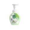 Professional Foam Antibacterial Hand Wash, Lime Scent