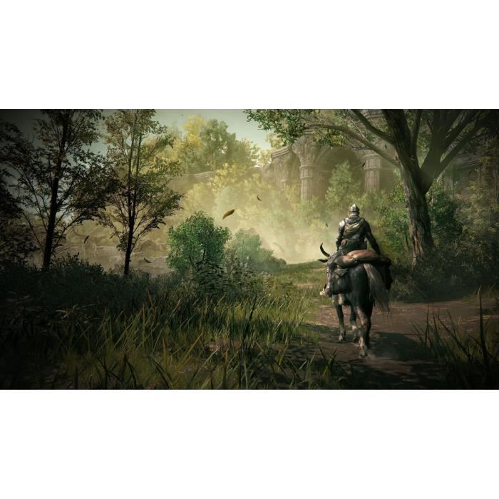 Elden Ring Shadow Of The Erdtree Goty — игра для PS5