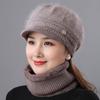 Women's Warm Knitted Winter Hat Warm Hat with Padded Fleece Lining and Ear Protection with Sun Visor Brim
