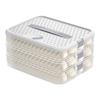 Household Dumpling Box Multi Layer Large Size Quick Dumpling Storage Box With Cover Kitchen Box Refrigerator Fresh Preservation Box