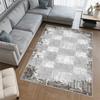 Washable Printed Carpet RVGHOME0522