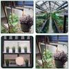 51 светодиод T5 Grow Lights Красный Белый Полный спектр Высокий PPFD Растения Световые Полосы Расширяемые Тепличные Семена Фитолампы Вилка Сетевые