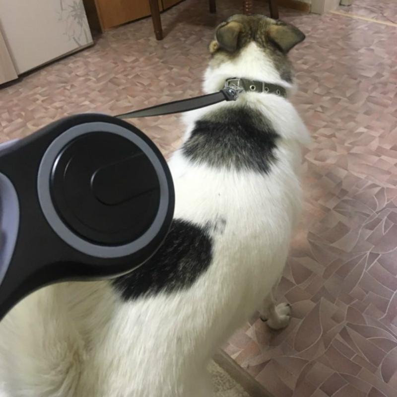 Длинный прочный поводок для больших собак Прочный нейлоновый выдвижной поводок для выгула большой собаки